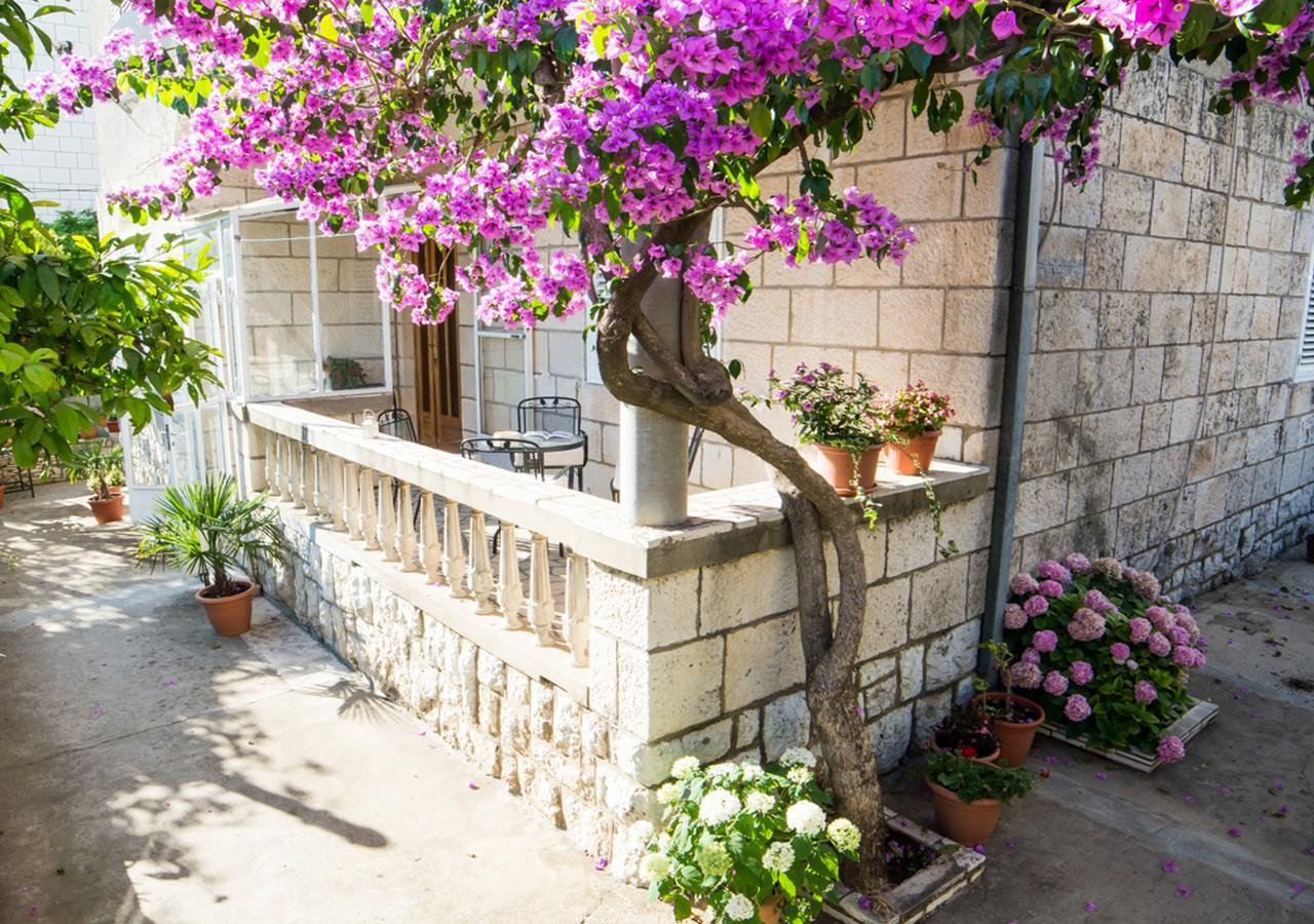Apartments Bungevilla Dubrovnik Dış mekan fotoğraf